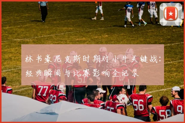 林书豪尼克斯时期对小牛关键战：经典瞬间与比赛影响全记录