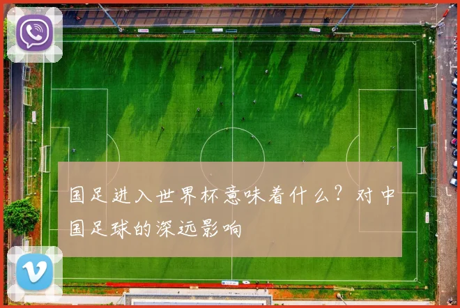 国足进入世界杯意味着什么？对中国足球的深远影响
