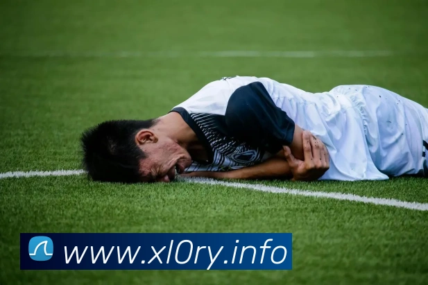 九游官方体育入口服务体系